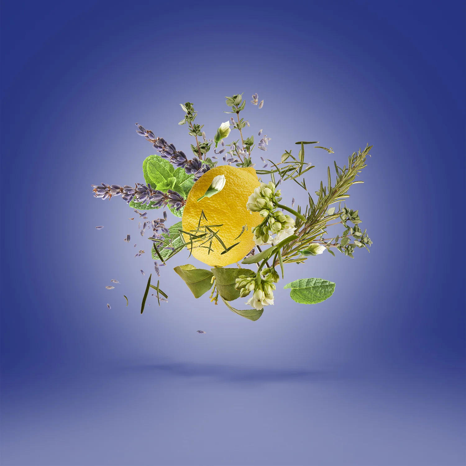 Miniature 3 de TORINO21