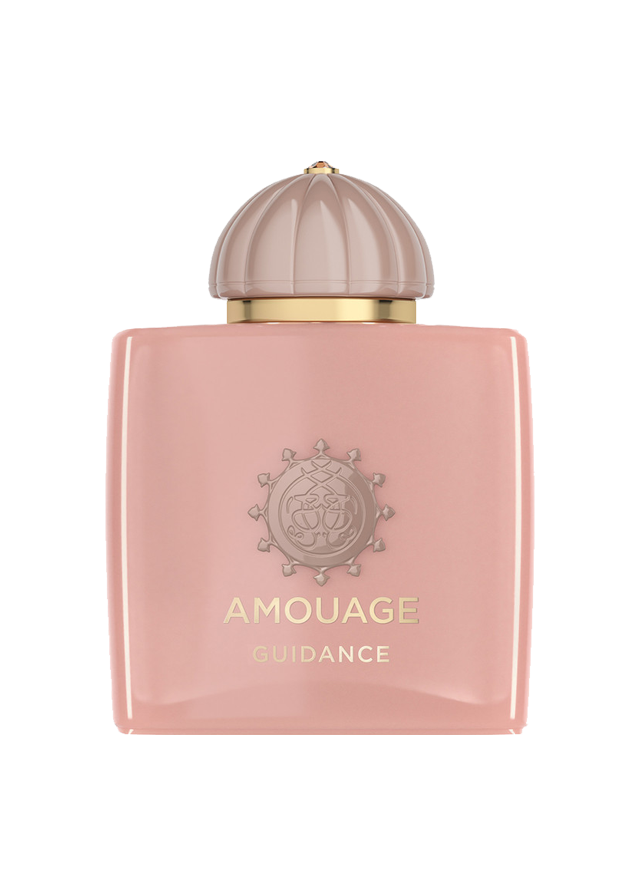 Image de GUIDANCE 100 ML
