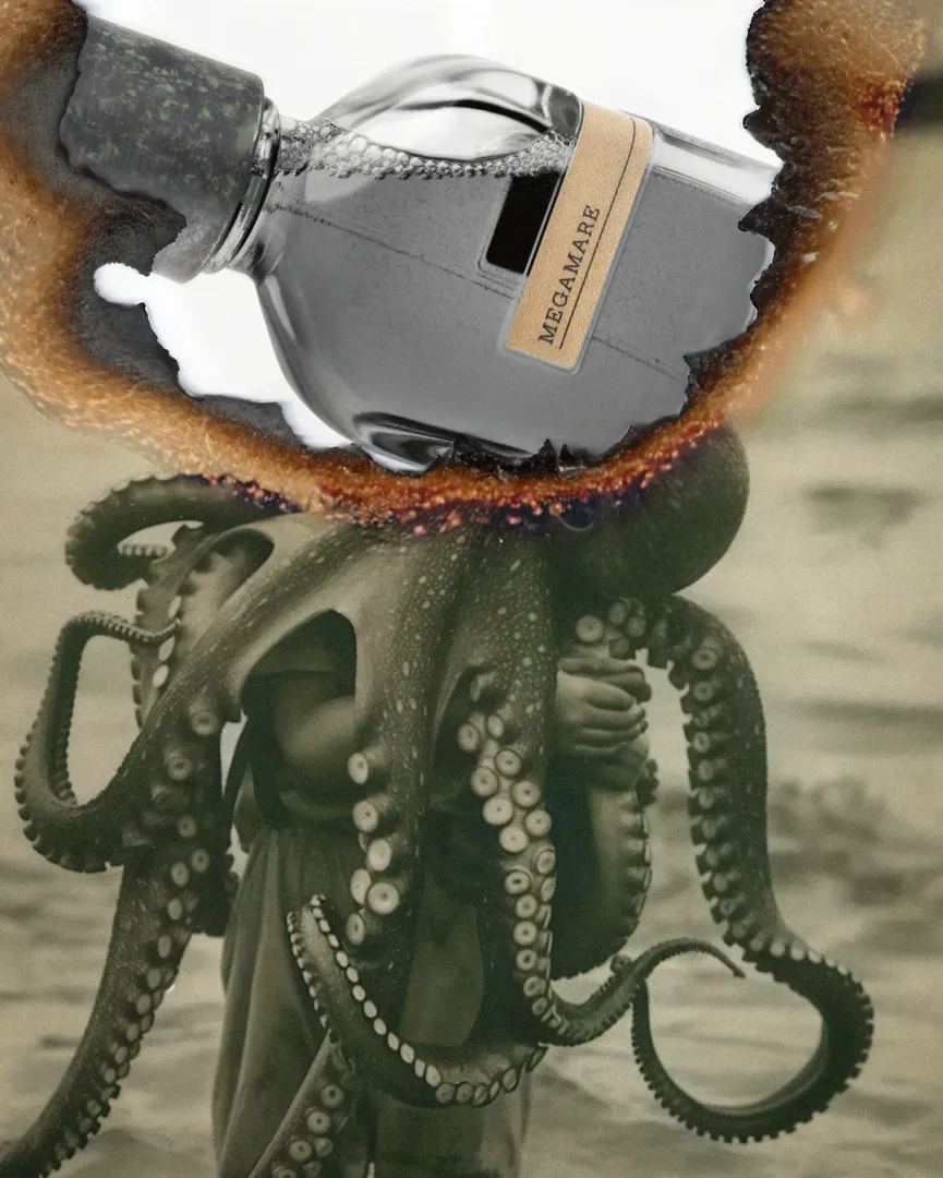 Miniature 2 de MEGAMARE