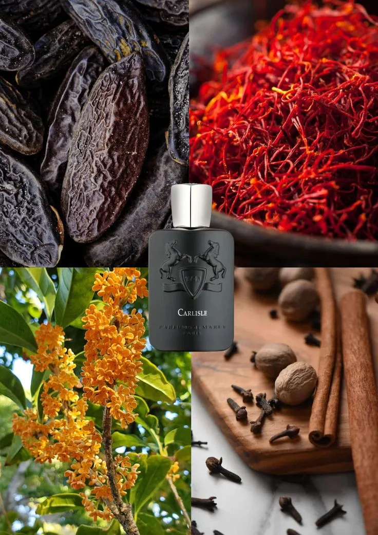 Miniature 2 de CARLISLE