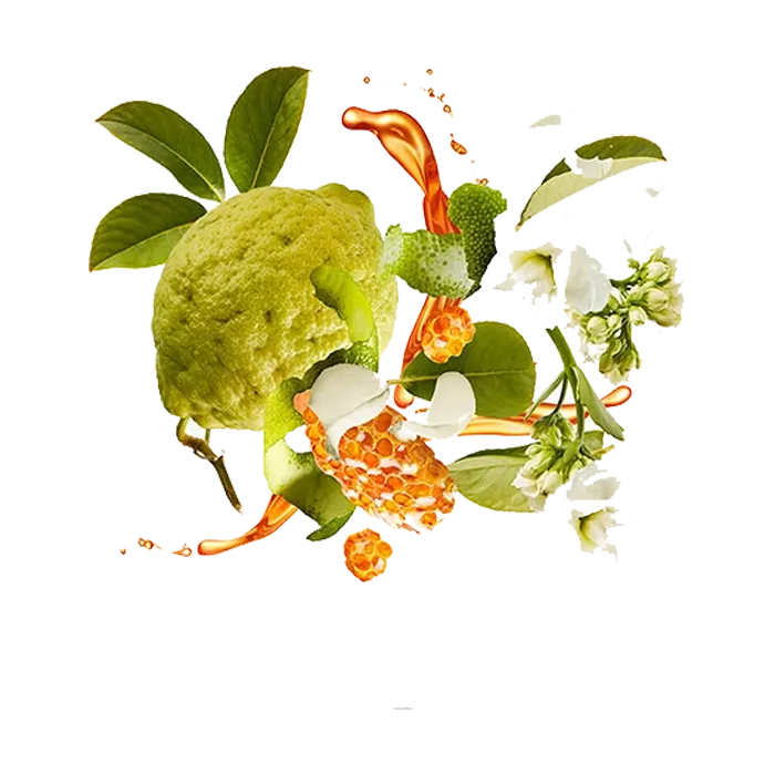 Miniature 2 de NAXOS 100ML 