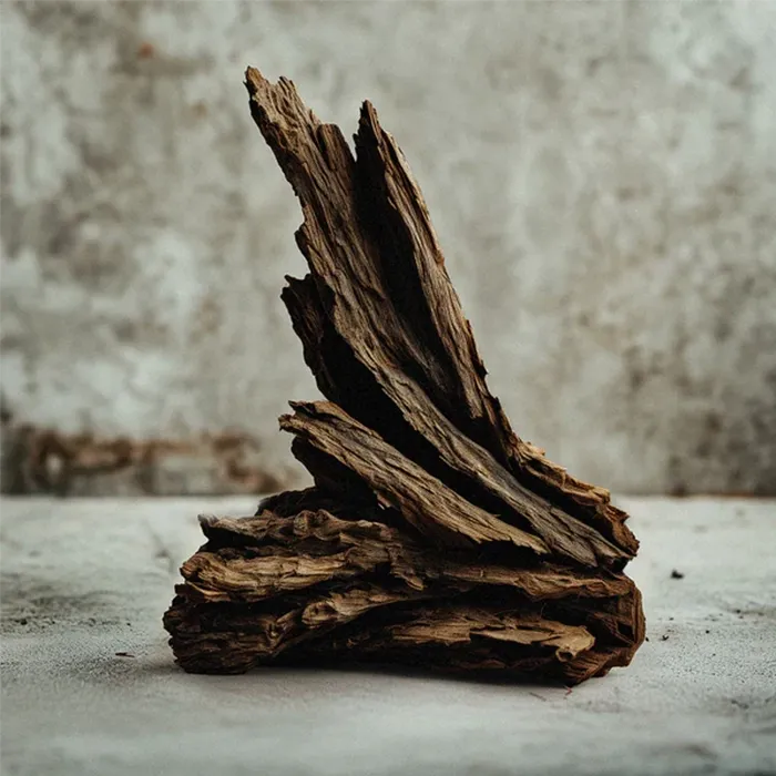 Miniature 4 de PURPLE STAIN