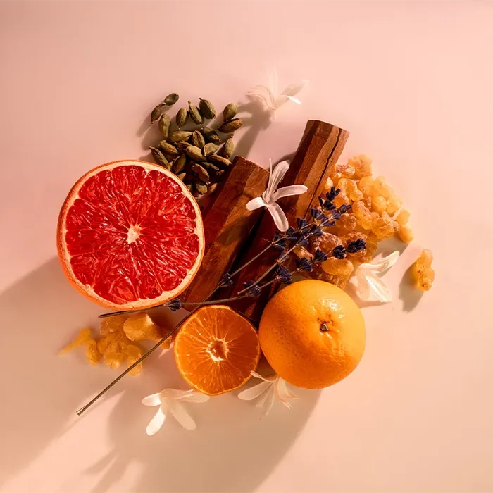 Miniature 2 de NASAJ