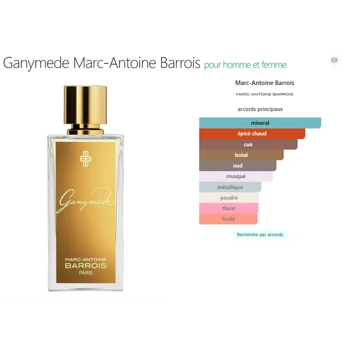 Miniature 6 de GANYMEDE