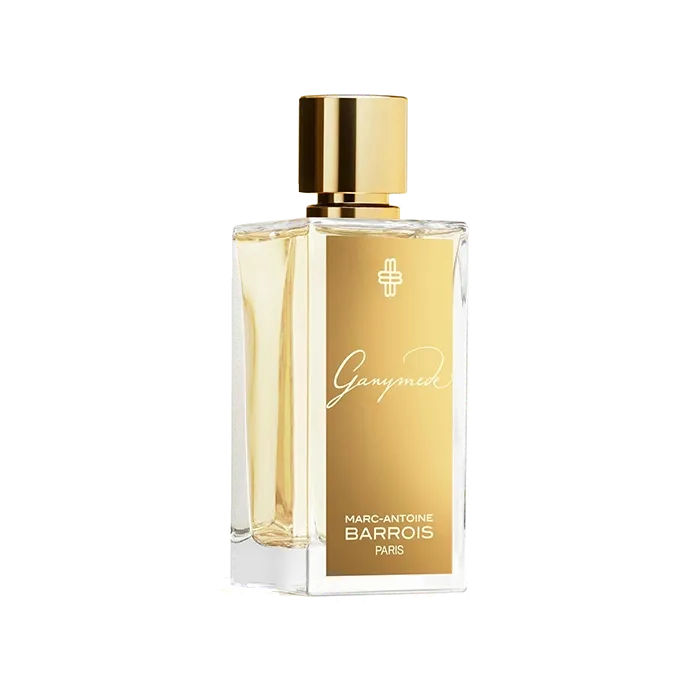 Miniature 3 de GANYMEDE